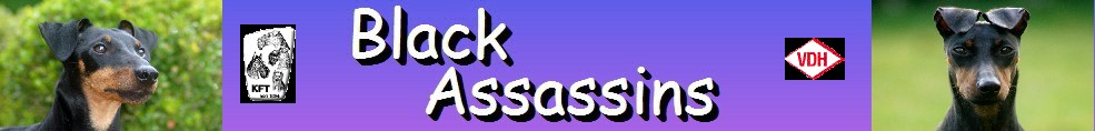 Gstebuch - BlackAssassins.de